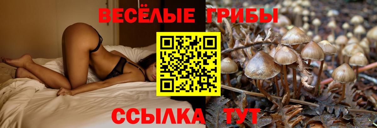 Сургут  Псилоцибиновые грибы Psilocybine cubensis  Вход с VPN  Галлюциногенные грибы ЛСД 